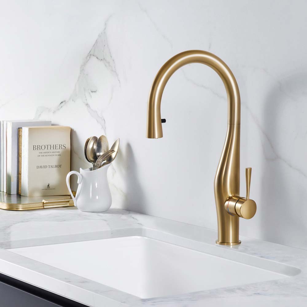 Vision Hidden Pull Down Kitchen Faucet