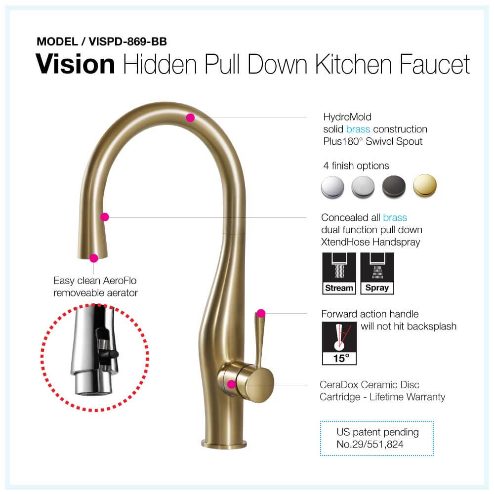 Vision Hidden Pull Down Kitchen Faucet
