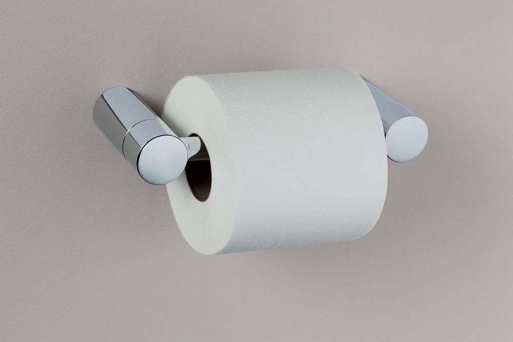 Align Pivoting Toilet Paper Holder