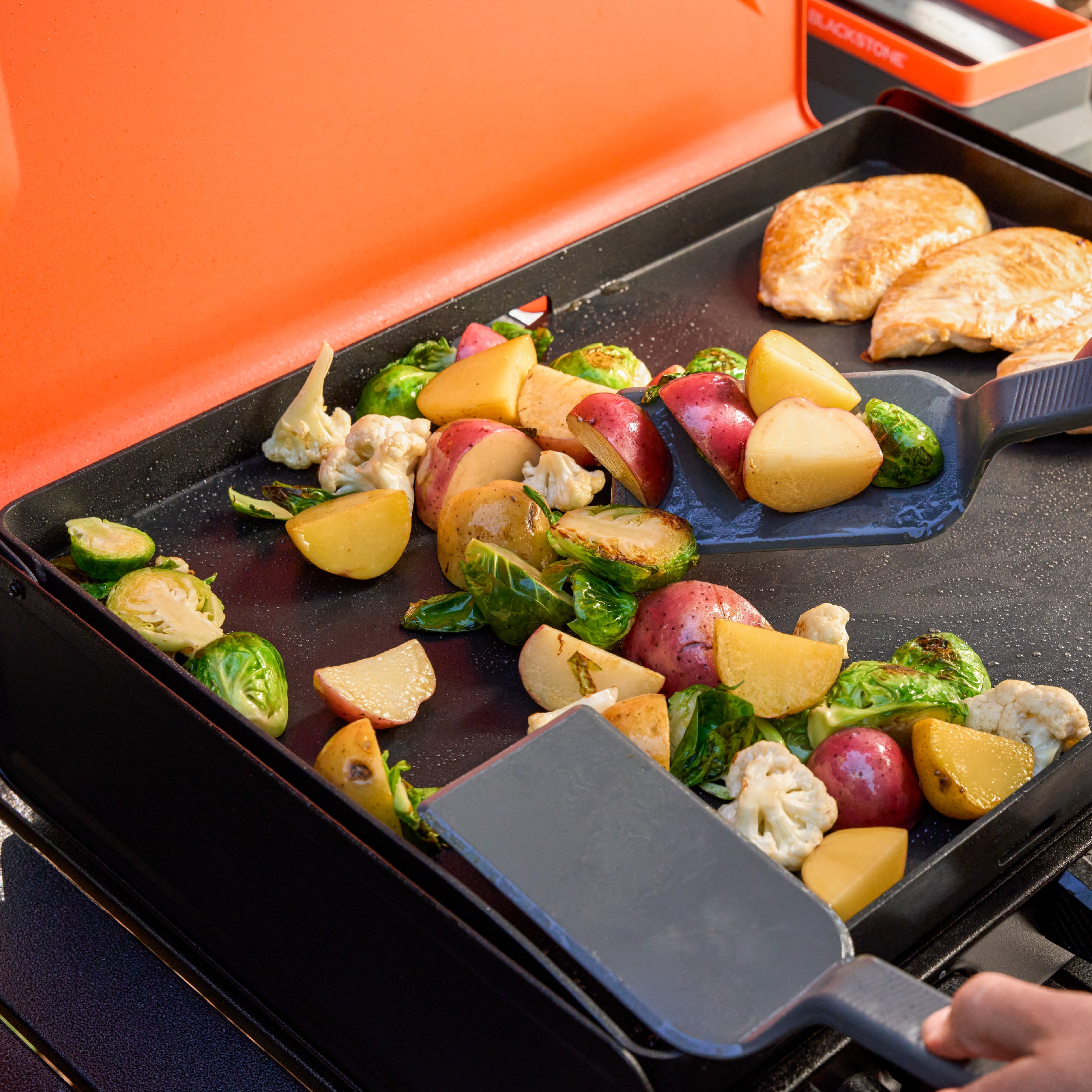 Blackstone 2363 - OTG 20" Camping Griddle